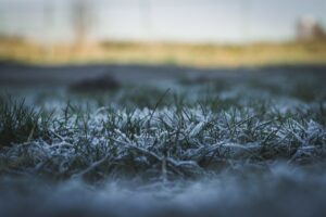 Novembro começa com maior frio da história no PR; Oeste é uma das regiões mais geladas