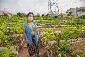 Programa paranaense permite expansão de cultivo de hortaliças orgânicas e integração da comunidade
