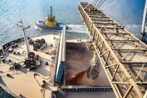 Exportações de grãos e farelo mais que dobraram no Porto de Paranaguá