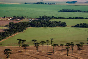 Pesquisa analisa fatores que contribuem para formação do preço de terras agrícolas no PR