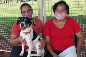 Programa de castração de cães e gatos vai passar por 11 municípios do Paraná nesta semana