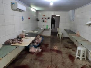 Mais de uma tonelada de carne ilegal é apreendida em fábrica clandestina