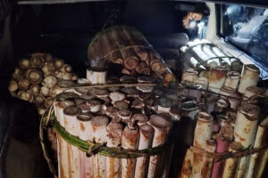 Homem é preso e multado em mais de R$ 100 mil por transporte ilegal de palmito no PR