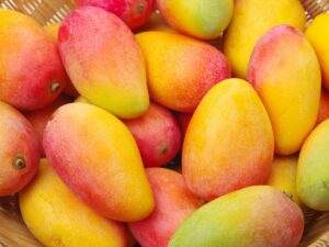 Saiba quais são os produtos que terão desconto do Programa de Garantia de Preços da Agricultura Familiar
