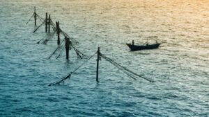 Mapa reativa licenças de pescadores profissionais que haviam sido suspensas