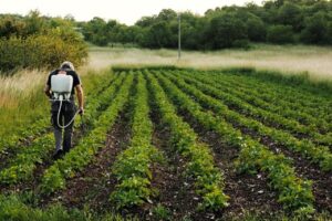 Agricultores têm novas alternativas de defensivos de baixo impacto para controle de pragas e doenças