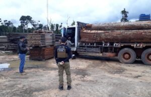 Durante operação, polícia apreende caminhão carregado com madeira no MT