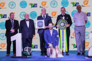 Cachorro brasileiro da raça Shih Tzu ganha prêmio de Melhor Cão do Mundo