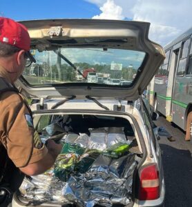 Polícia apreende 400 quilos de agrotóxicos ilegais no Paraná