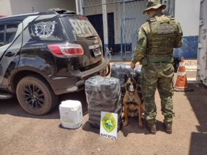 Na rodoviária: homem é preso com agrotóxicos ilegais dentro das malas em Cascavel