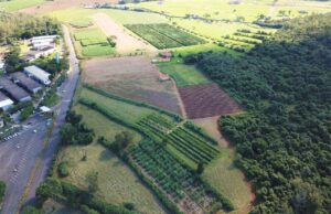 Novo método de avaliação de impactos sociais ajuda nas políticas públicas e pesquisas do agro