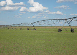 Ciência desenvolve práticas que dimuem a emissão de gases de efeito estufa no cultivo de arroz irrigado