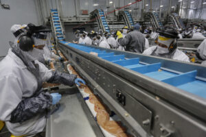 Paraná é o estado que mais emprega no Sul do Brasil