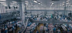 “A previsão é de que o Brasil consuma 25 kg de carne suína por habitante em 2030”, afirma diretor da Frimesa, sobre futuro do setor