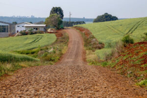 Pavimentação em estradas rurais trouxe melhorias para o agronegócio no PR