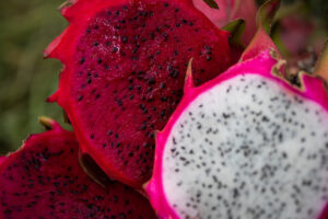 Rastreabilidade e certificação de frutas são prioridades para fruticultura no ano que vem