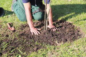 Boas práticas ambientais colocam o Paraná no topo do ranking nacional de sustentabilidade