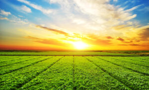 O que esperar do agronegócio para 2023?
