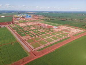Com foco no milho, C.Vale volta a realizar Dia de Campo de Verão de 2023 em novo espaço