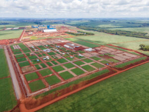 Dia de Campo da C.Vale está chegando