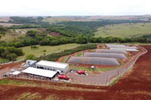 Com foco no hidrogênio verde, Paraná deve criar nova política pública para biogás e biometano