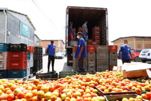 Alimentos não comercializados por produtores vão para mesa de entidades sociais no PR