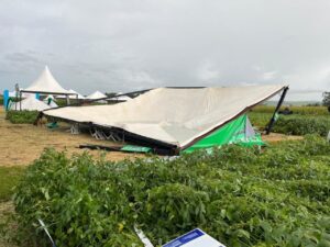 Dia de Campo em cooperativa é adiado após temporal no Oeste do PR