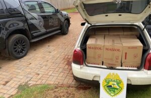 Polícia apreende veículo carregado de óleo de girassol contrabandeado no PR