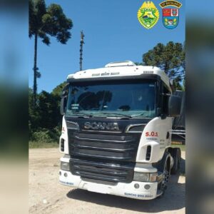 Seis pessoas são presas transportando couro roubado no Paraná