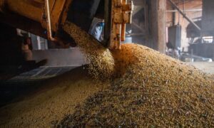Estudo da Conab avalia perda de grãos desde a lavoura até a mesa do consumidor