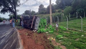 Caminhão carregado com frangos tomba no PR