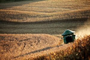 Valor Bruto da Produção Agropecuária alcança R$ 1,189 trilhão no Brasil e é o segundo maior em 34 anos