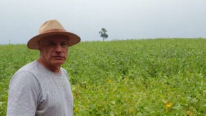 “A chuva veio para animar os agricultores”, diz produtor do Oeste paranaense