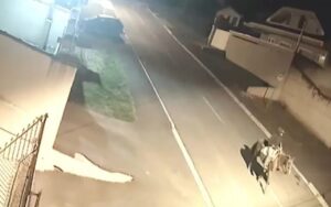 Ladrão chega a cavalo para furtar veículo no PR