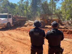 Polícia do Mato Grosso teve bons resultados no combate a crimes ambientais em 2022