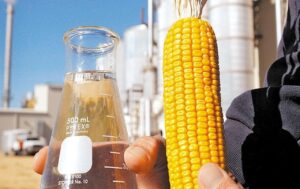 Líder nacional em produção do etanol de milho, MT prevê mais investimentos em biocombustível