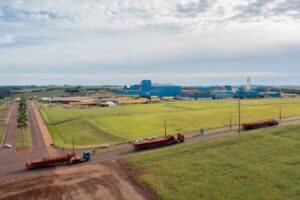 Obras da esmagadora de soja da C.Vale estão a todo vapor; unidade recebeu mais equipamentos