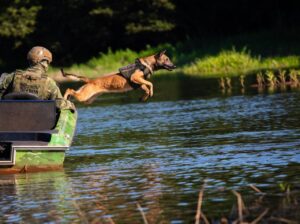 De estagiários a contratados: conheça os cães que serão grandes aliados da polícia no PR