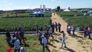 Atua no Campo leva tecnologia e conhecimento a centenas de produtores rurais em três dias de evento
