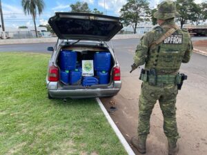 Carro carregado com agrotóxicos ilegais é apreendido no Oeste do PR