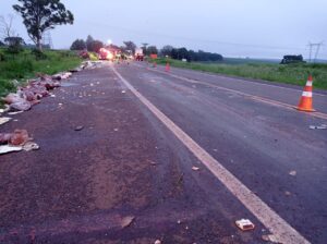 Carga de miúdos bovinos fica espalhada em rodovia após acidente no PR