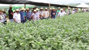 Agregar conhecimento a família rural é o grande foco do 35º Encontro de Cooperados da Coamo