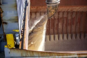 Agronegócio bate recorde em exportações