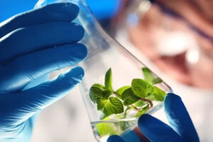 Mercado de bioinsumos movimentou R$ 3,3 bilhões na última safra