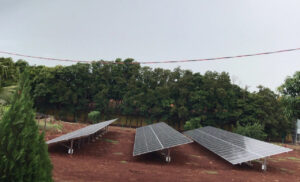 Sonho que saiu do papel: avicultora do Oeste do PR implementa sistema solar
