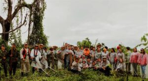 Áreas atingidas por incêndios florestais estão sendo recuperadas no MT