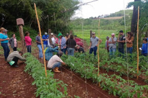 Capacitação de produtores paranaenses é aposta para incentivar escolha por orgânicos