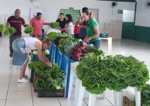 Feira do Produtor Urbano será realizada na região Norte de Cascavel