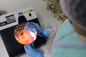 Investimentos da Fundação Araucária impulsionam o agronegócio do PR