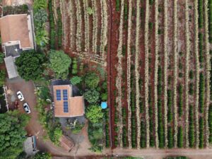 Banco do Agricultor Paranaense já liberou R$ 300 milhões em financiamentos para o campo
